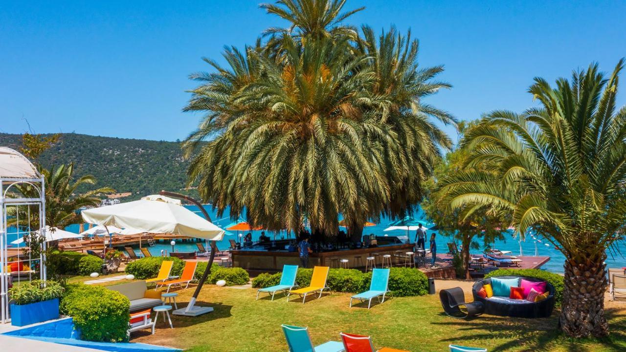 Toka Bodrum Hotel & Beach Club Kültér fotó