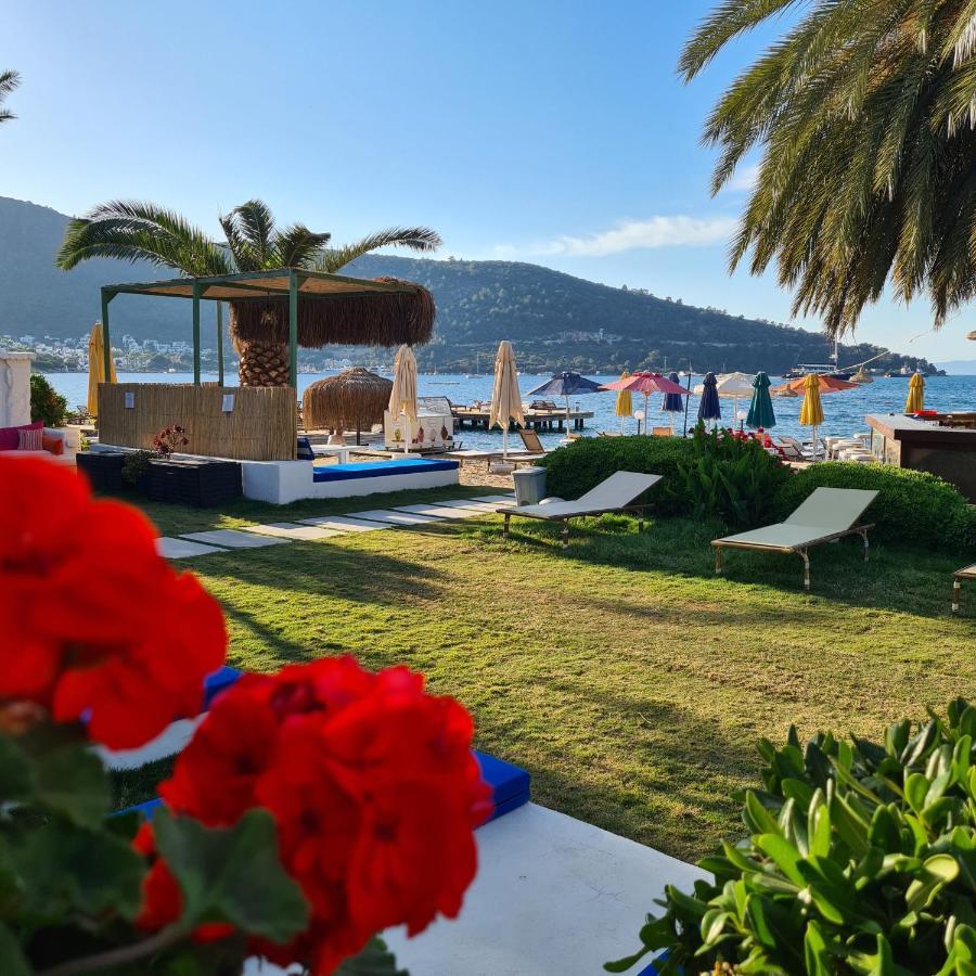 Toka Bodrum Hotel & Beach Club Kültér fotó